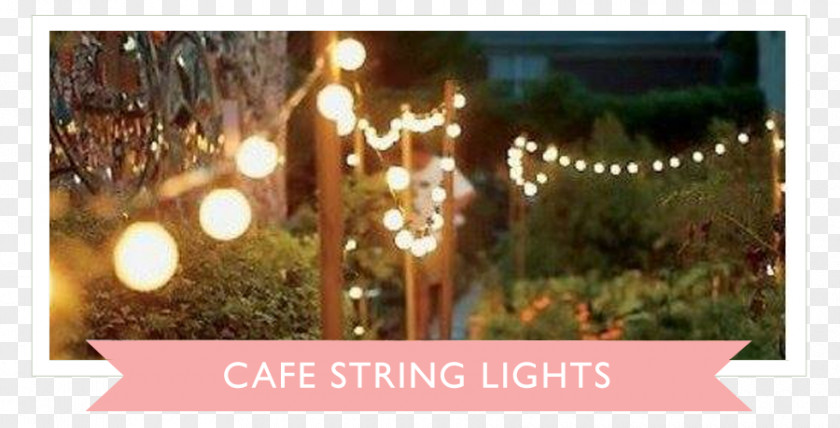 String Lights Wedding Landscape Lighting Backyard Street Light PNG