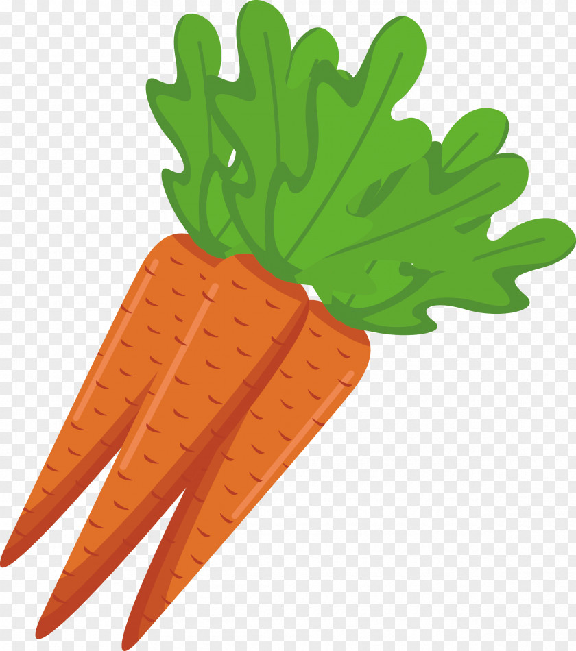 Vector Cartoon Carrot Vegetarian Cuisine Veggie Burger Food PNG