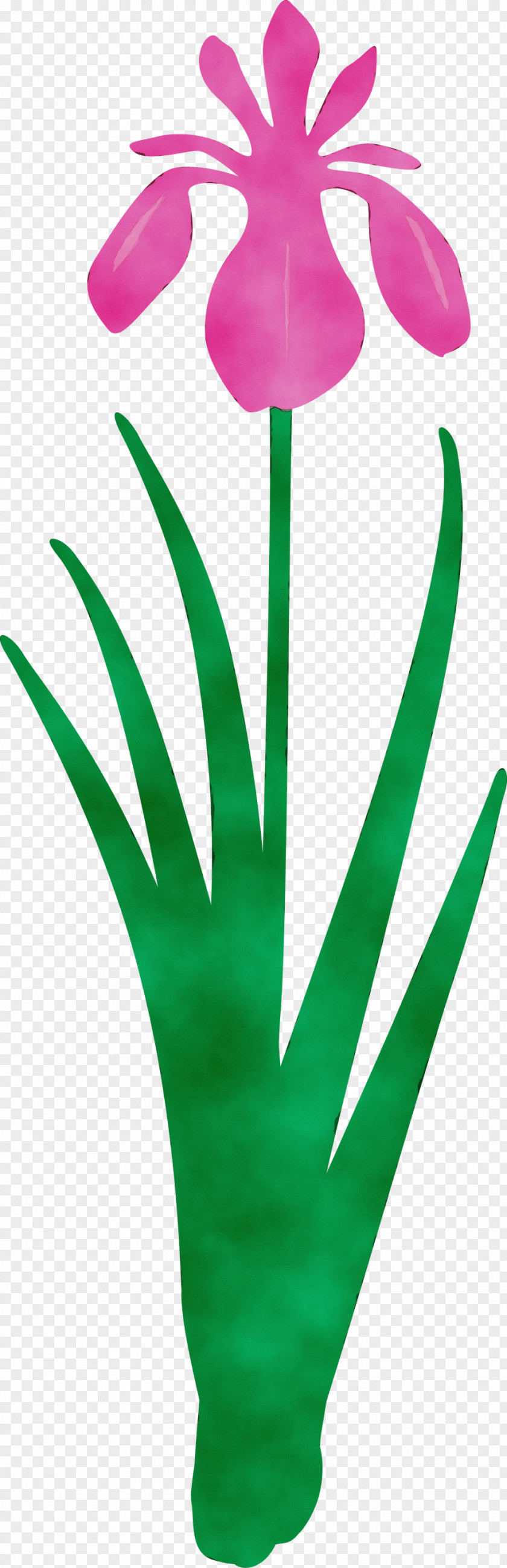 Green Leaf Plant PNG