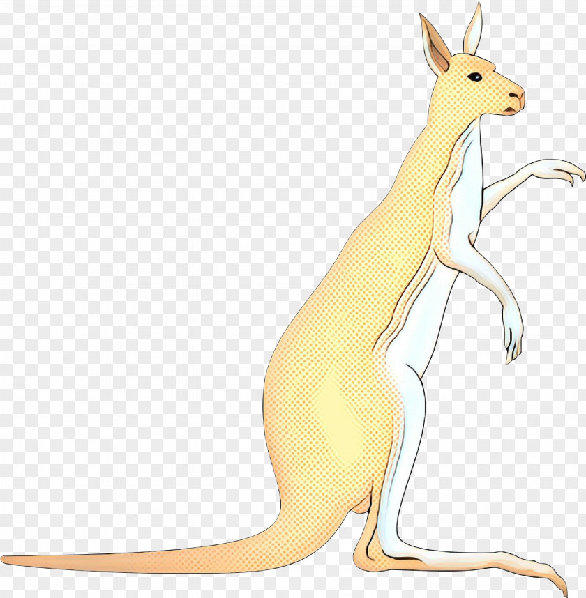 Kangaroo Macropods Hare Carnivores Fauna PNG