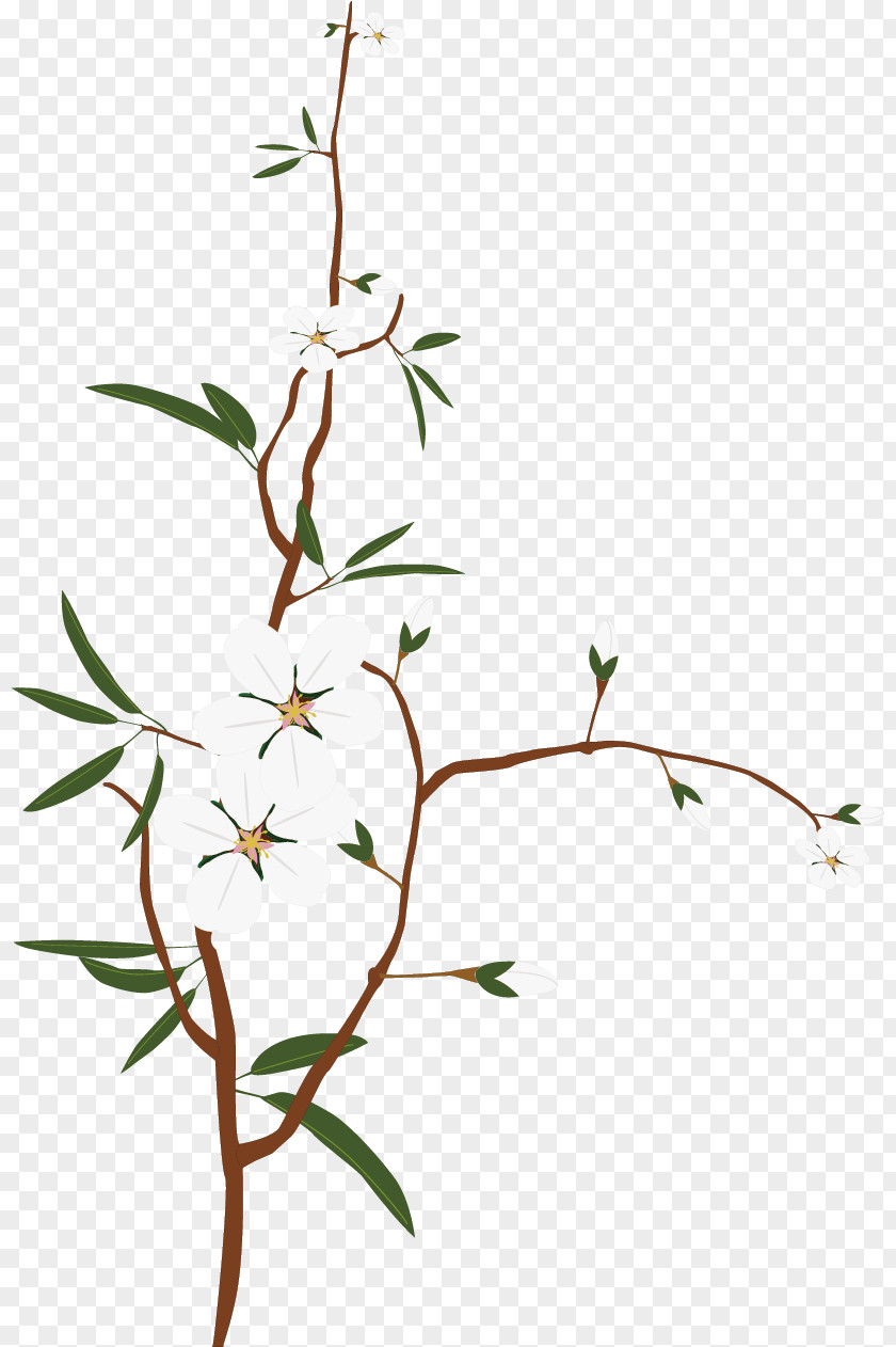 Snow White Plum Material Twig PNG