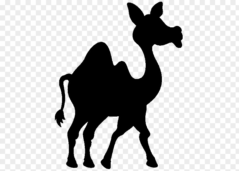 Camel Clip Art Silhouette Pack Animal Terrestrial PNG