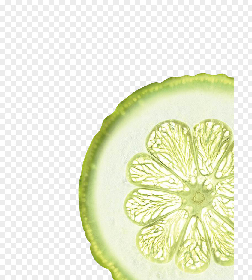 Paeonia Lactiflora Lemon-lime Drink Key Lime PNG
