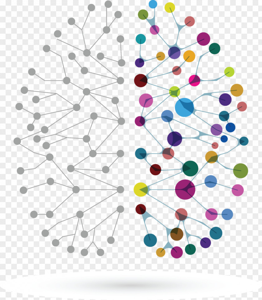 School Neuroeducation Neuroscience Learning Pedagogy PNG