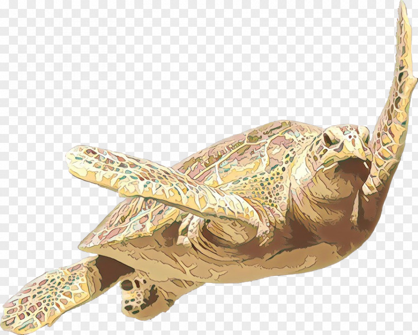 Sea Turtle Pond Background PNG