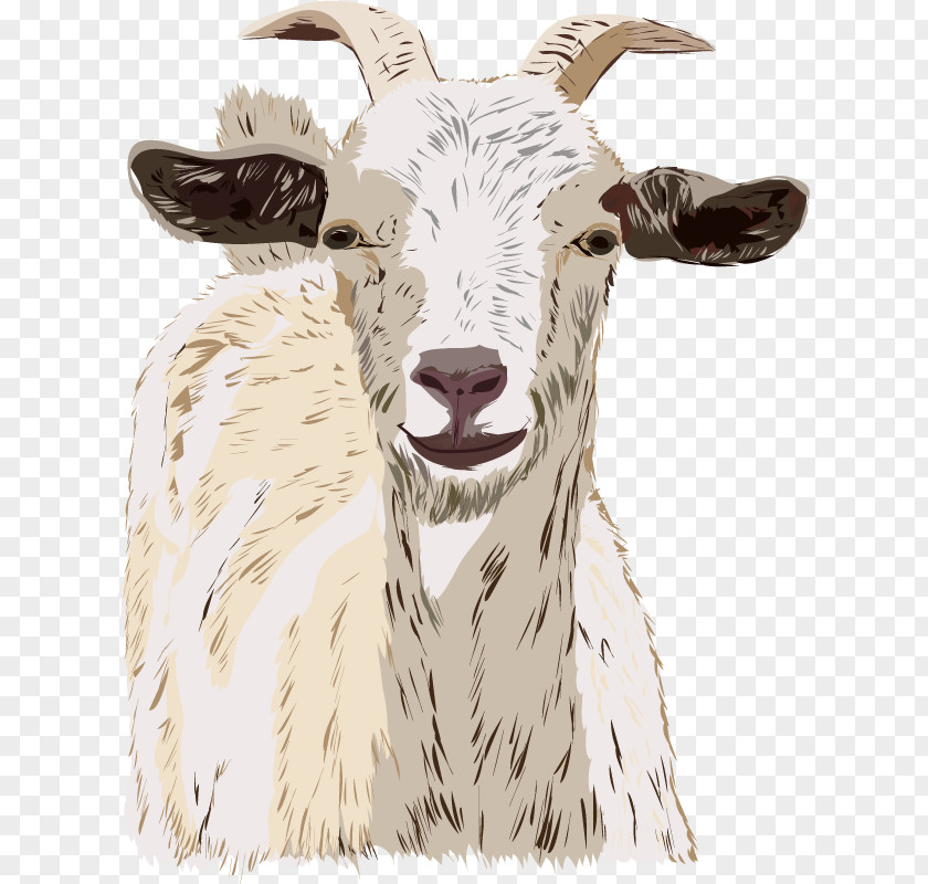 Sheep Goats Drawing Cattle PNG