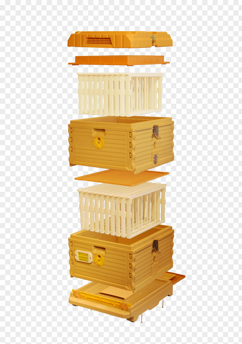 Bee Western Honey Beehive Langstroth Hive Beekeeping PNG