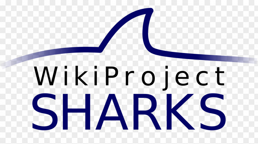 Shark Logo Brand Clip Art PNG