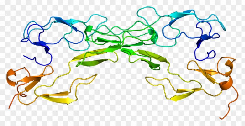 Tumor Necrosis Factor Receptor 1 TNF Superfamily Gene Protein Alpha PNG