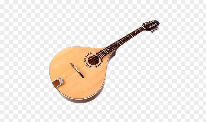 Acoustic Guitar Banjo Mandolin Gig Bag Tiple PNG