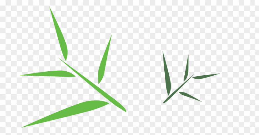Bamboo Leaf Free Download Green Angle Font PNG