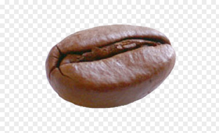 Coffee Beans Bean Espresso Kopi Luwak Cafe PNG