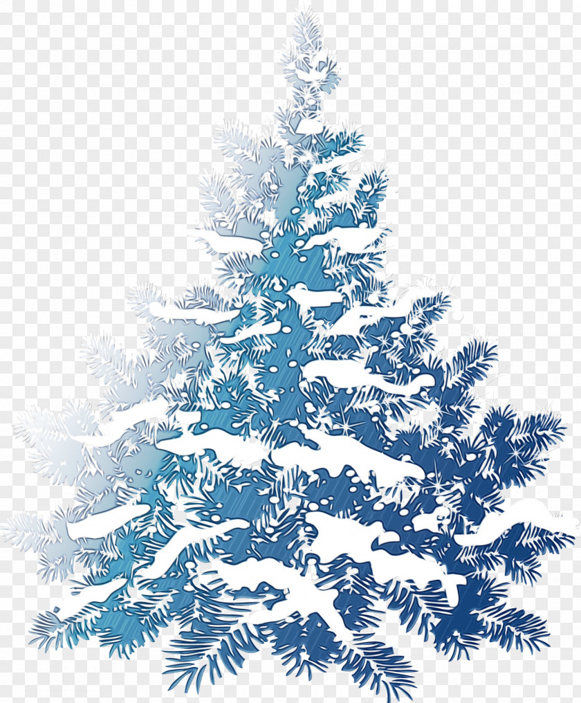 Fir Spruce Christmas Tree PNG