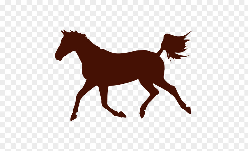 Horse Silhouette Clip Art PNG