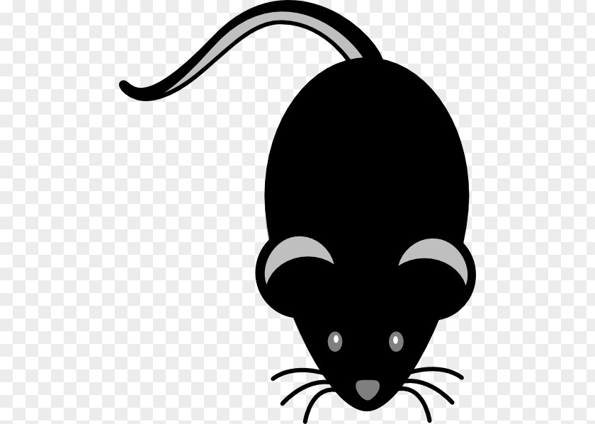 Mouse Computer Clip Art PNG