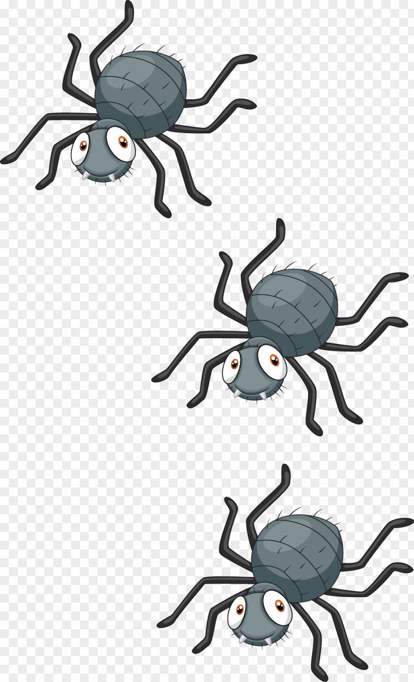 Spider Vector Royalty-free Clip Art PNG