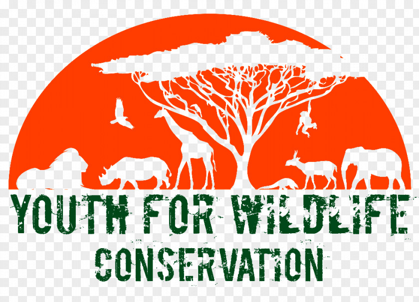 Wildlife Conservation Charts World Day Wide Fund For Nature PNG