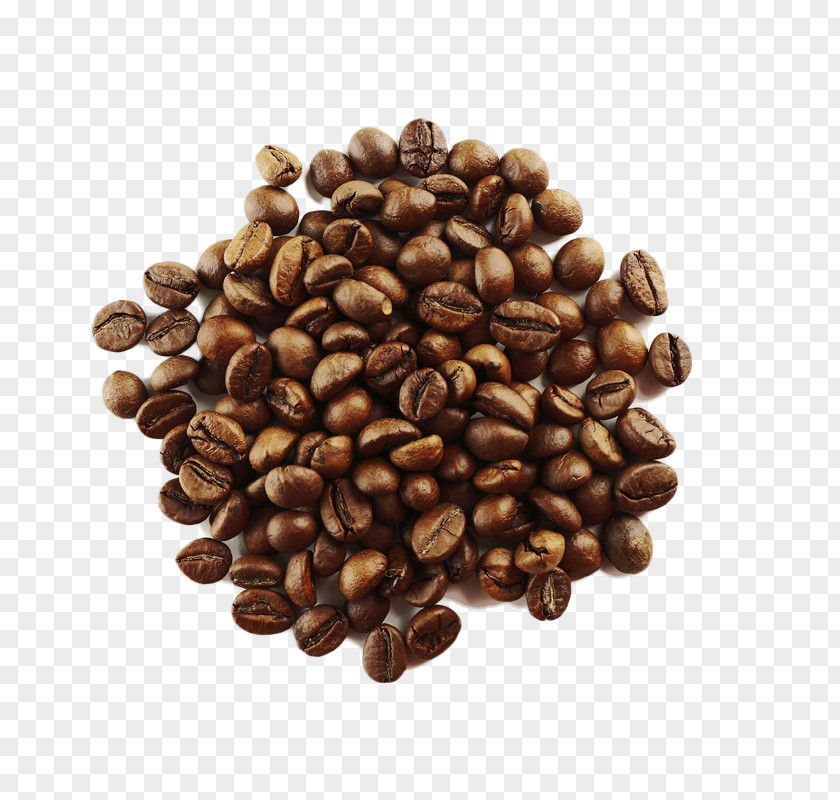 Coffee Bean Arabica Cafe Roasting PNG