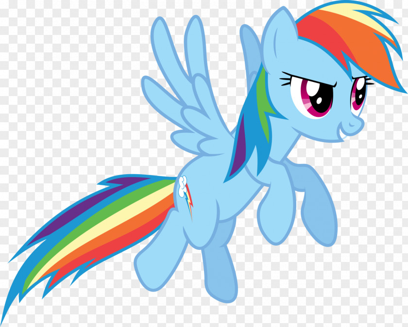 Dash Rainbow Derpy Hooves Pony Twilight Sparkle Rarity PNG