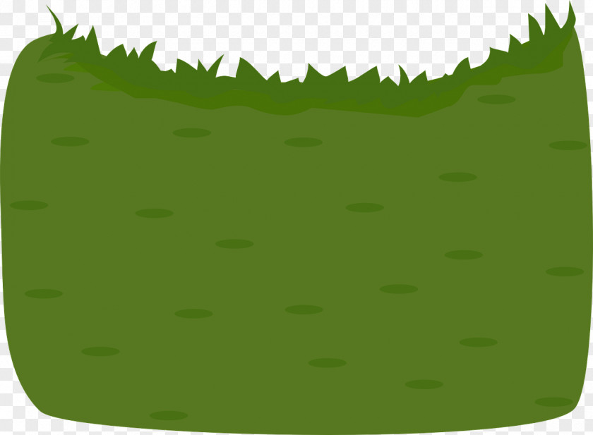 Field Meadow Grass Lawn Artificial Turf Sprachraupe PNG