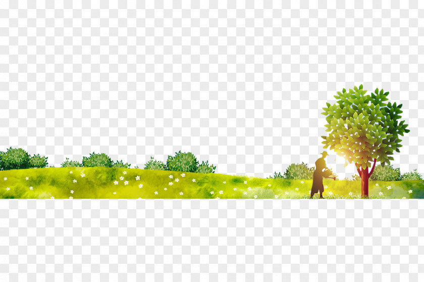 Flash Forest Tree PNG