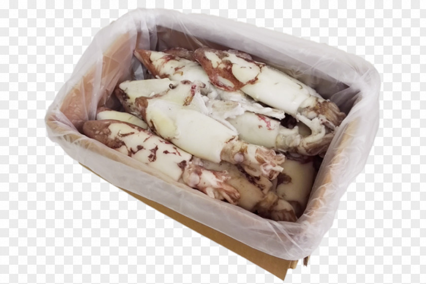 Ice Cream Squid As Food Fish Finger PNG