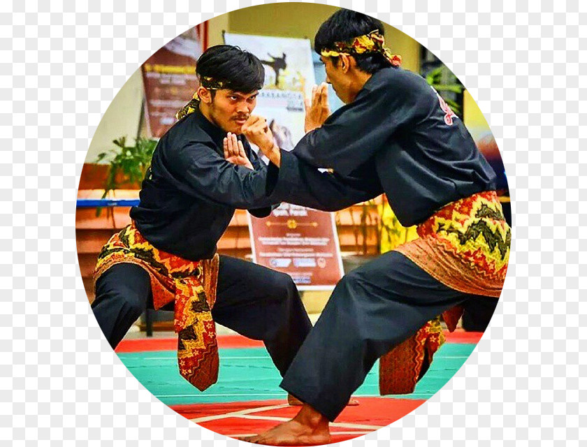 Ikatan Pencak Silat Indonesia Mixed Martial Arts PNG