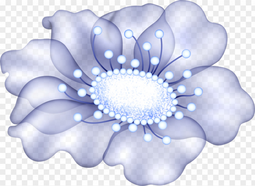 Sunflower Drawing 1,2,3,4,5,6,7,8,9,10,11,12,13,14,15,16,17,18,19,20,21,22,23,24 Petal Russia LiveInternet Desktop Wallpaper PNG
