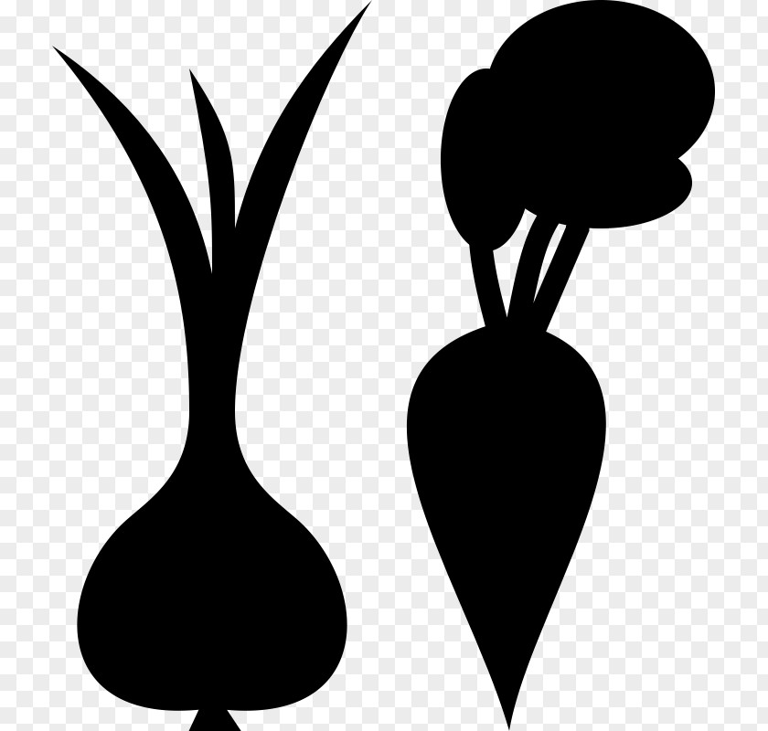 Beetroot Vegetable Onion Clip Art PNG