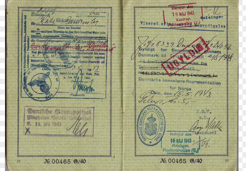 China Visa Document PNG