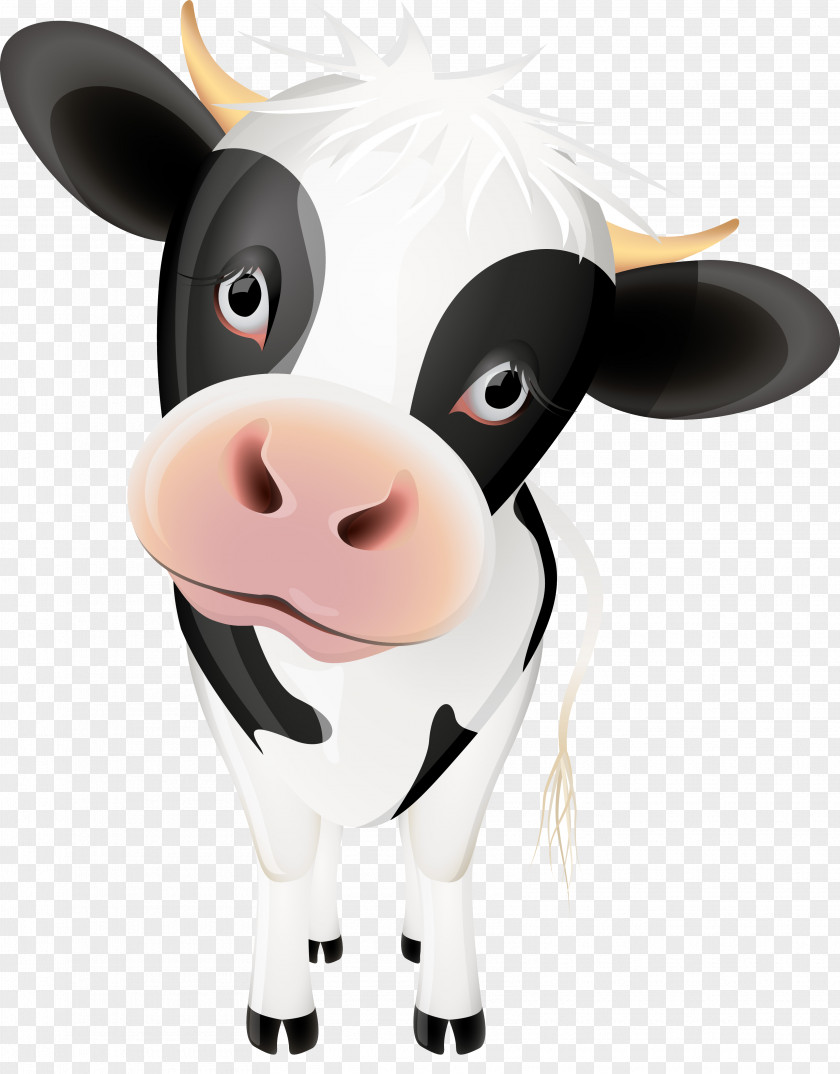 Funny Cow Cattle Cartoon Calf Clip Art PNG