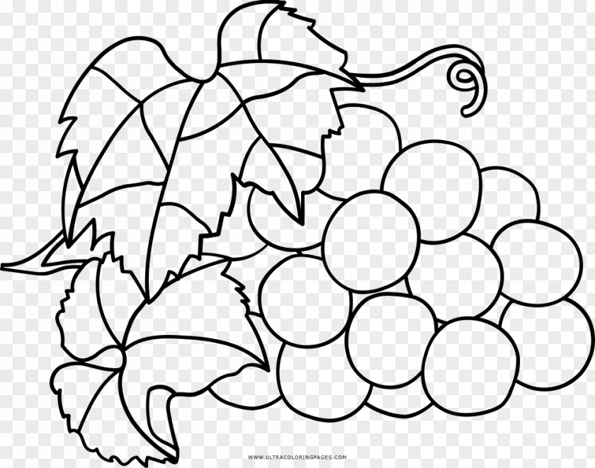 Grape Coloring Book Drawing PNG