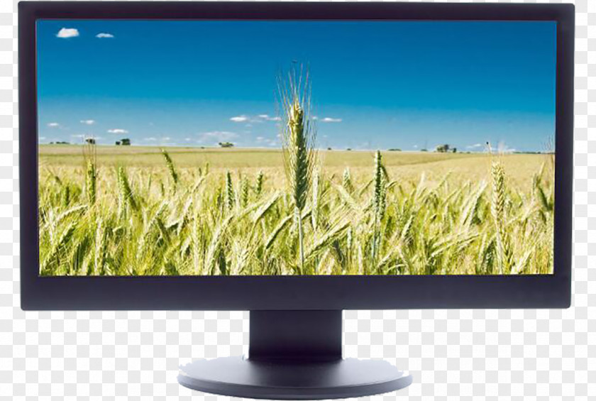 LCD TV Screen Computer Monitor Television Liquid-crystal Display PNG