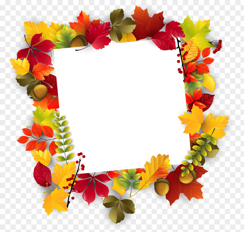 Leaf Fram Flower Clip Art PNG