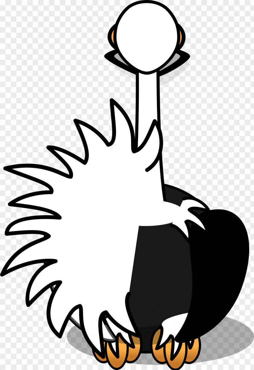 Ostrich Common Bird Clip Art PNG