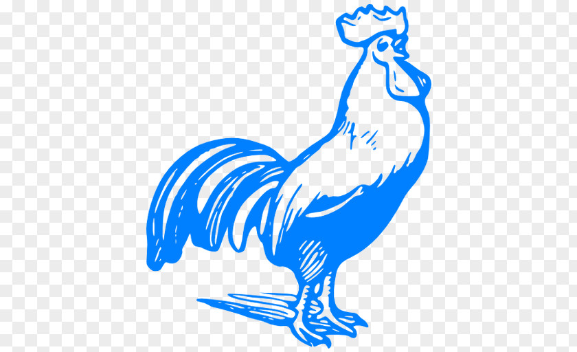 Polish Chicken Rooster Clip Art PNG