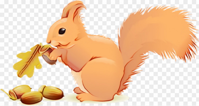 Squirrel Cartoon Animation Eurasian Red Tail PNG