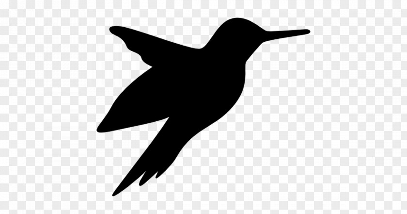 Cartoon Black Bird Download Hummingbird Travel Sustainability Clip Art PNG