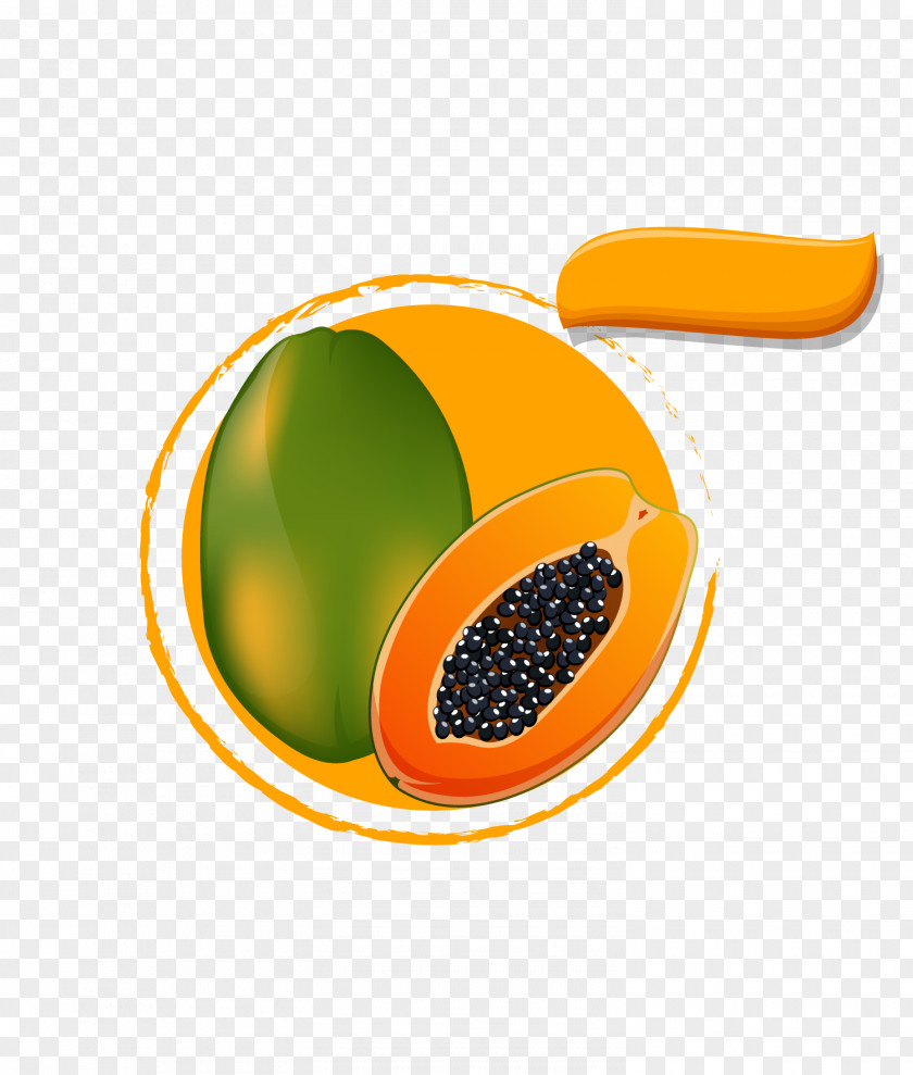 Delicious Papaya Design Vector Adobe Illustrator PNG