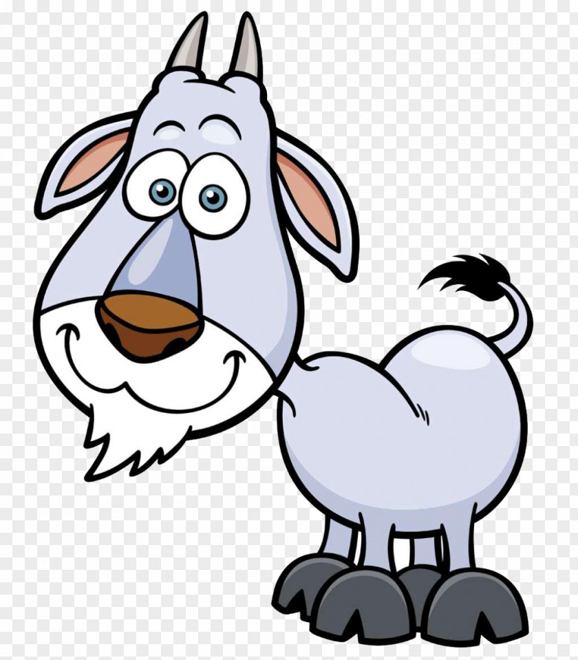 Goat Sheep Cartoon PNG