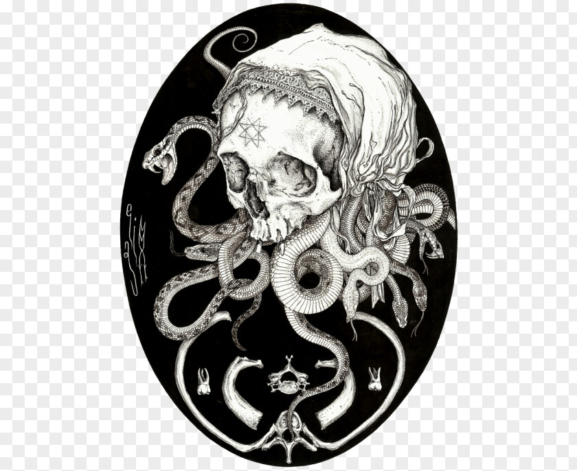 Illustration Skull Macabre Drawing Art Death PNG