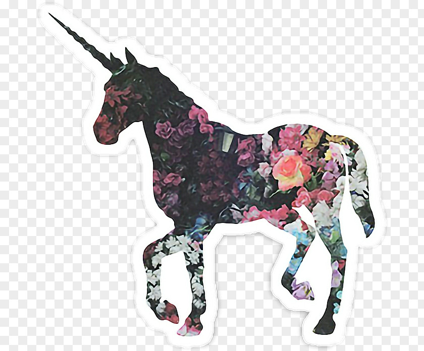 Floral Unicorn Desktop Wallpaper Photography Canvas PNG