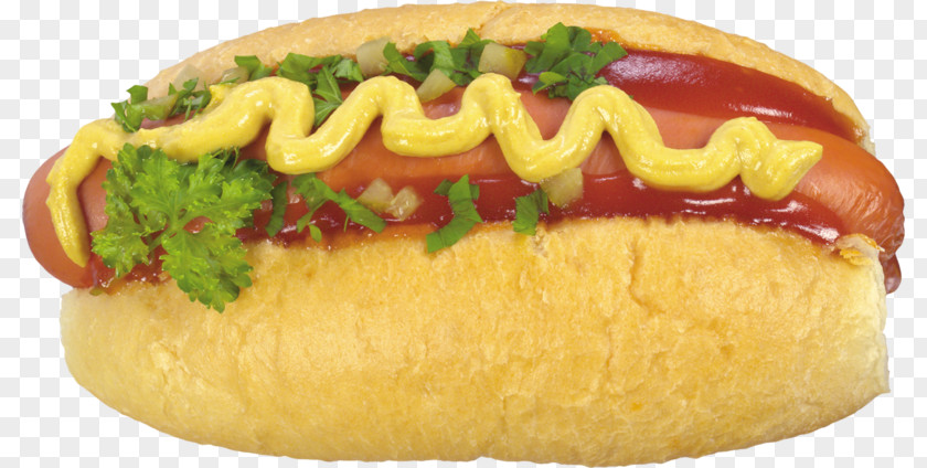 Hot Dog Buns Hamburger Fast Food PNG