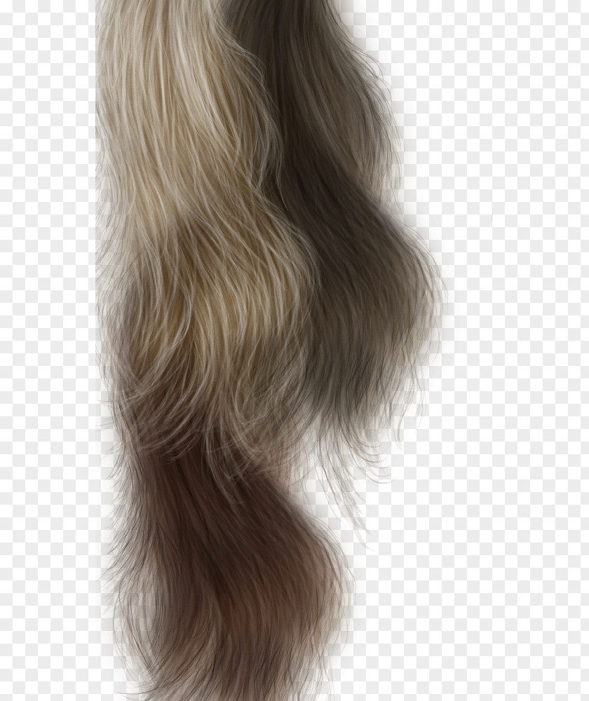 Lady Hair Long Capelli Hairstyle PNG