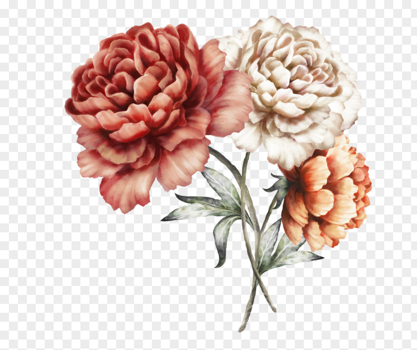 Peony Watercolor Painting Royalty-free PNG