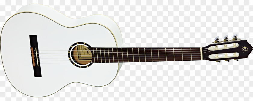 Amancio Ortega Musical Instruments Acoustic Guitar Epiphone G-400 Classical PNG