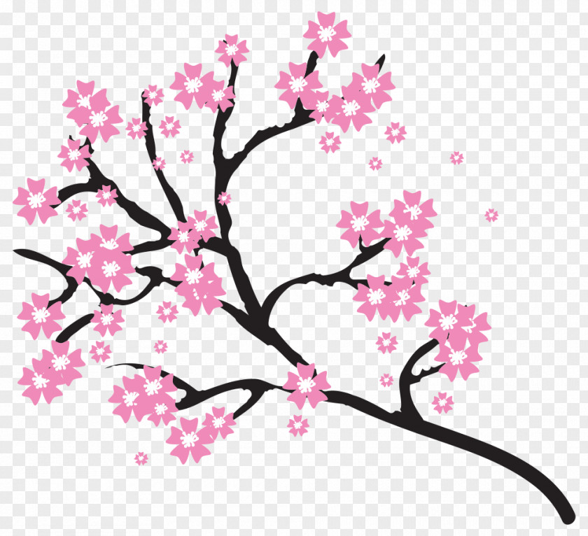 Cherry Blossom Clip Art PNG