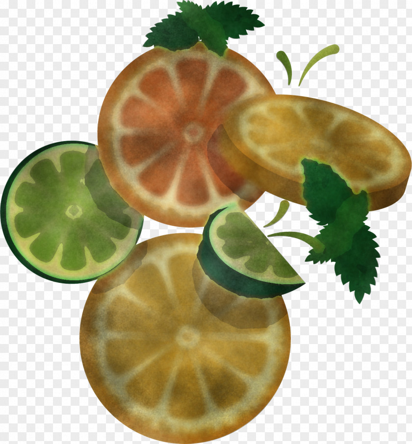 Citrus Leaf Fruit Lime Lemon PNG