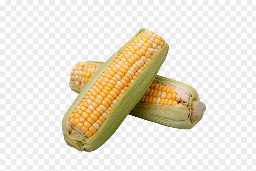 Corn On The Cob Flakes Sweet Maize PNG