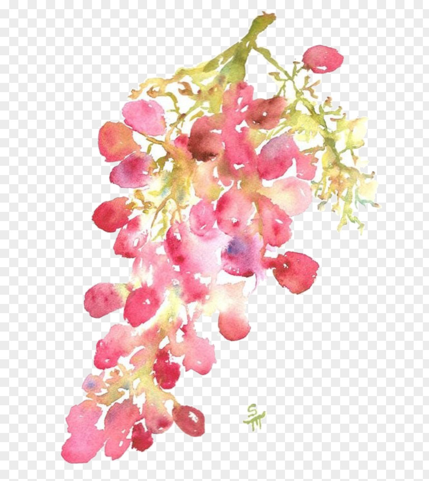 Flower Watercolor Painting January Wallpaper PNG